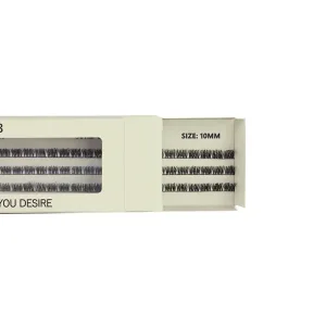 BE SNOB Astero Lash Segments 10mm open package