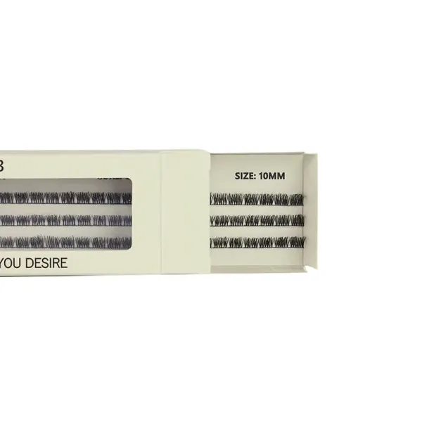 BE SNOB Astero Lash Segments 10mm open package