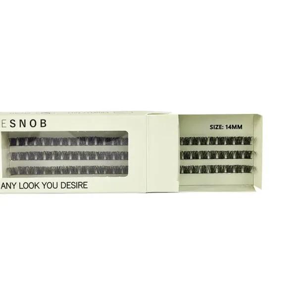 BE SNOB Ariadne Lash Segments 14mm open package