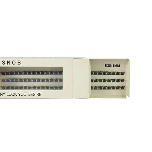 BE SNOB Ariadne Lash Segments 8mm open package