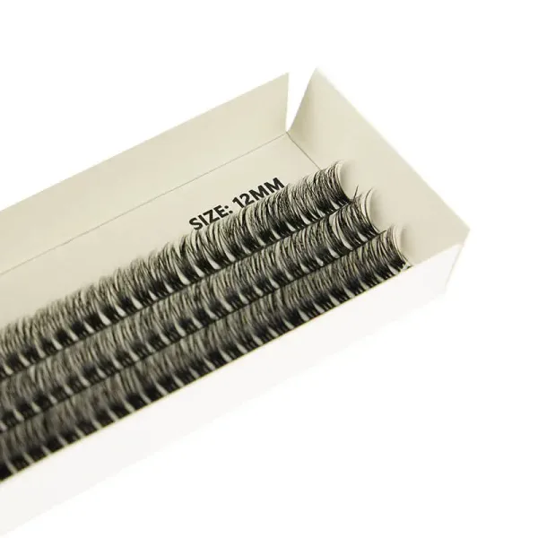 BE SNOB Suzi Lash Segments 12mm close up