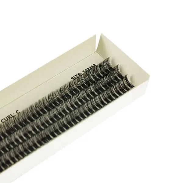 BE SNOB Suzi Lash Segments 14mm close up