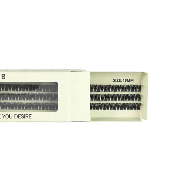 BE SNOB Suzi Lash Segments 16mm open package
