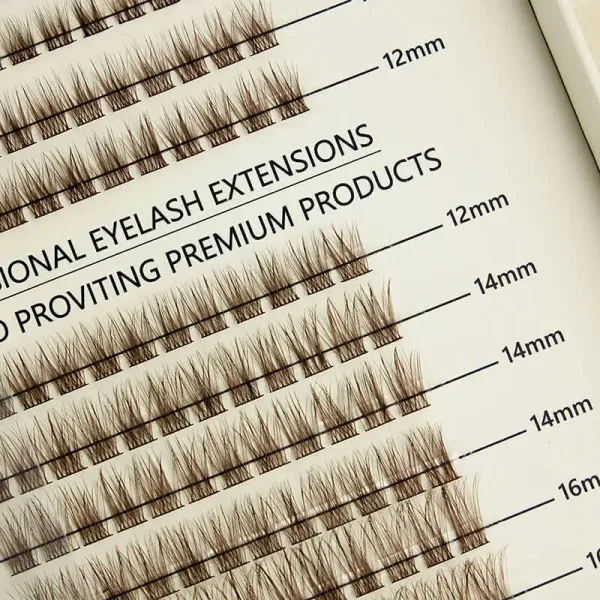 Close-up of BE SNOB Zaoura Lashes