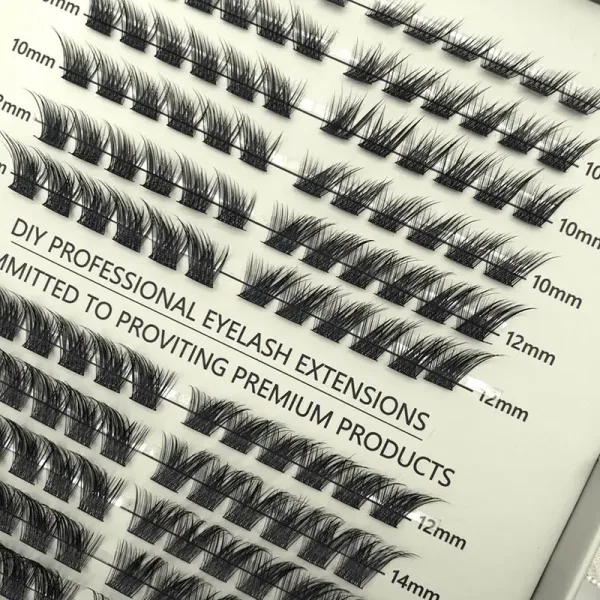 Close-up of Quick Cleopatra false lashes inside the BE SNOB lash kit
